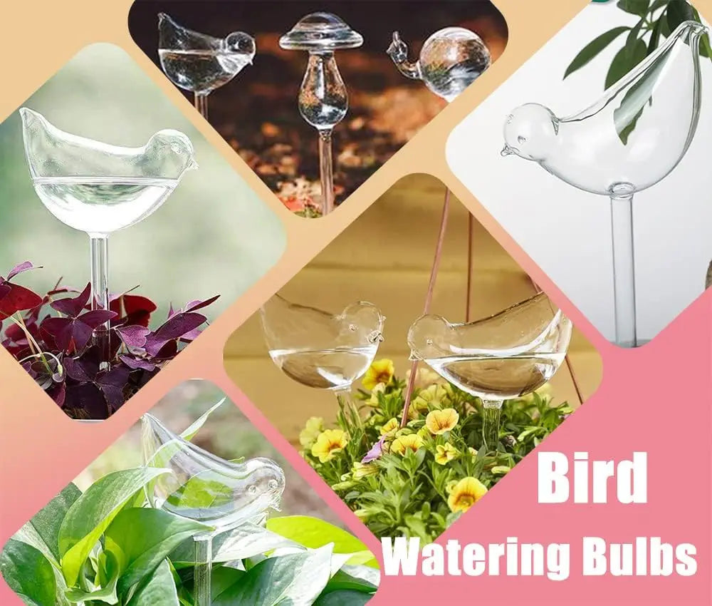 S08032eed00d24c4084f9d4dceafb04067