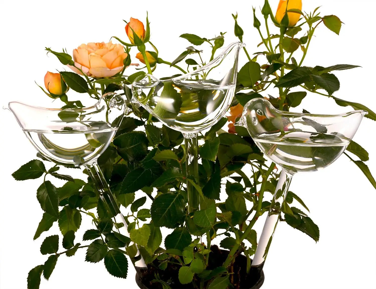 Sae033d4f941444b5a024e5e0ed58cb6eR